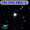 TYC  534-1981-1