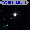 TYC  539-1981-1