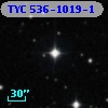 TYC  536-1019-1