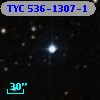 TYC  536-1307-1