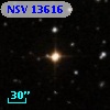 NSV 13616
