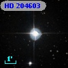 HD 204603
