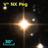 V* NX Peg