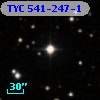 TYC  541-247-1