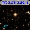 TYC 3173-3100-1