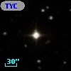 TYC  556-1304-1