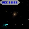 UGC 11856