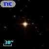 TYC  557-513-1