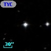 TYC  565-311-1