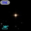 TYC  565-439-1