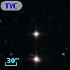 TYC  565-964-1