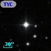 TYC  566-391-1