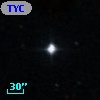 TYC  566-933-1