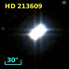 HD 213609