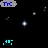 TYC 1151-613-1