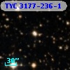 TYC 3177-236-1