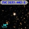 TYC 3177-442-1