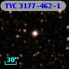 TYC 3177-462-1