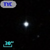 TYC  575-951-1