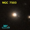 NGC  7503