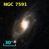 NGC  7591