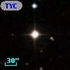TYC  584-503-1