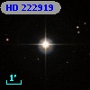 HD 222919