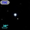 TYC  593-1-1
