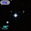 TYC  593-318-1