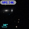 APG 246