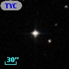 TYC  596-986-1