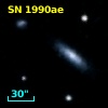 SN 1990ae
