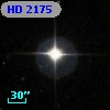 HD   2175