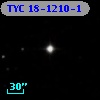 TYC   18-1210-1