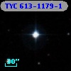 TYC  613-1179-1