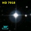 HD   7918