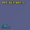 TYC  613-607-1