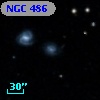 NGC   486