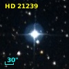 HD  21239