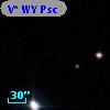 V* WY Psc