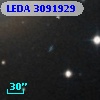 LEDA 3091929