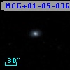 MCG+01-05-036