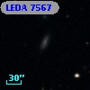 LEDA    7567