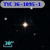 TYC   36-1095-1