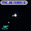 TYC   36-1183-1