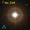 *  78 Cet