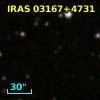 IRAS 03167+4731