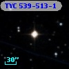 TYC  539-513-1