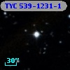 TYC  539-1231-1