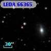 LEDA   66365